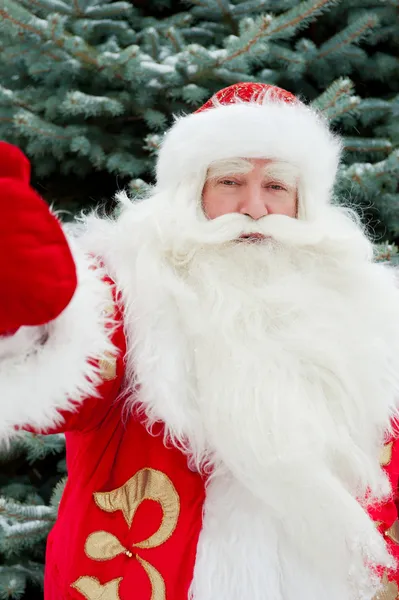 Retrato de Santa Claus natural de pie en el outdo del árbol de Navidad —  Fotos de Stock