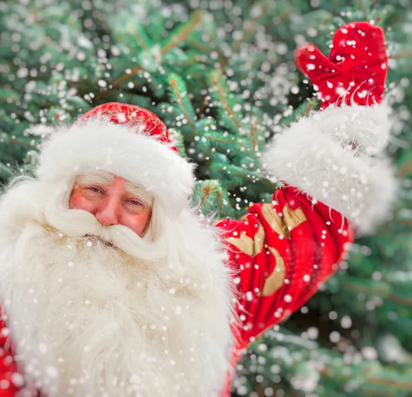 Předčit portrét přirozené postavení santa claus na vánoční stromeček — Stock fotografie