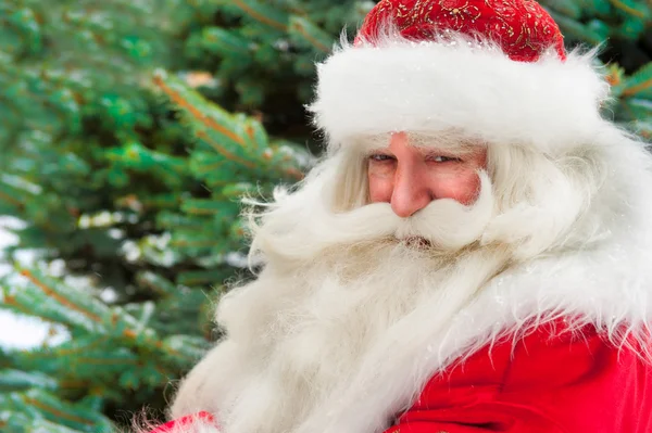 Papai Noel retrato sorrindo contra árvore de natal ao ar livre em s — Fotografia de Stock