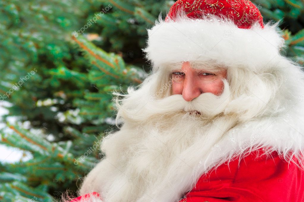 Papai Noel retrato sorrindo contra árvore de natal ao ar livre em s —  Fotografias de Stock © HASLOO #7559001