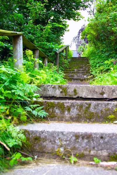 Escadas na natureza — Fotografia de Stock