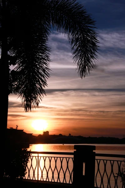 Silhouette di palma al tramonto putrajaya — Foto Stock