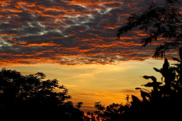 Nuvem dourada nascer do sol I — Fotografia de Stock