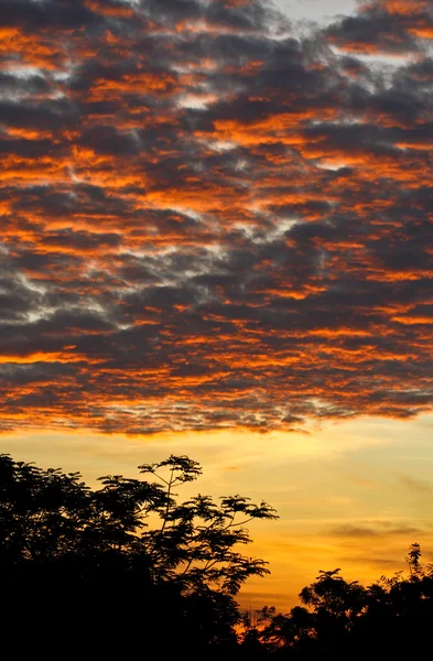 Sonnenaufgang mit goldenen Wolken — Stockfoto