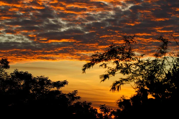 Nuvem dourada nascer do sol III — Fotografia de Stock