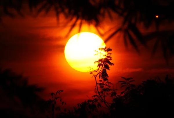 太陽とシルエット ii — ストック写真
