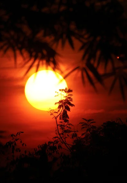 太陽とシルエット — ストック写真