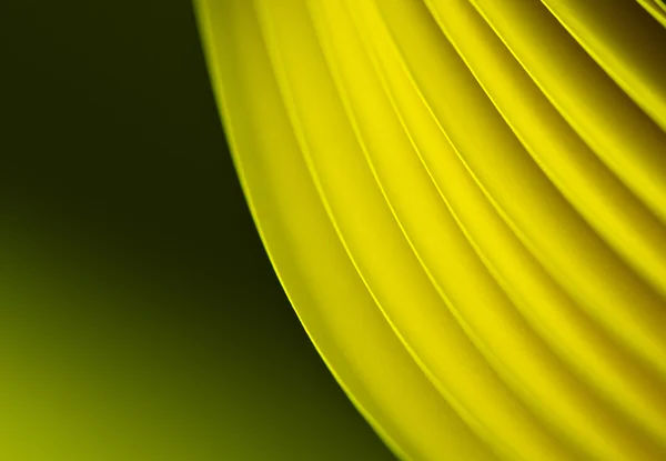 Greenish Yellow Paper Background — Stock Photo, Image