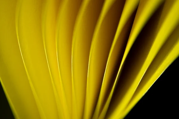 黄色い紙端背景 — ストック写真