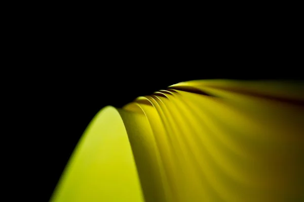 Twisted Yellow Paper Background III — Stock Photo, Image
