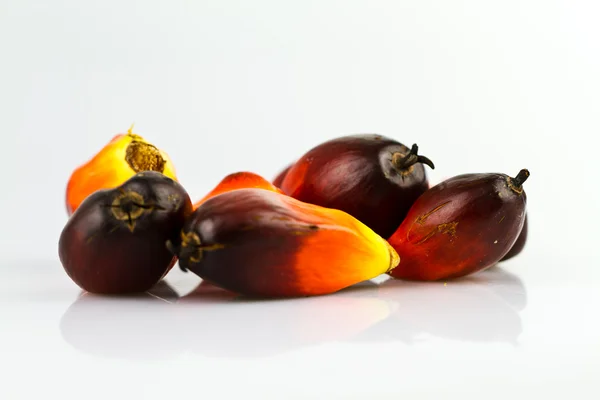 Oil palm seeds mirror image II — Stock Photo, Image
