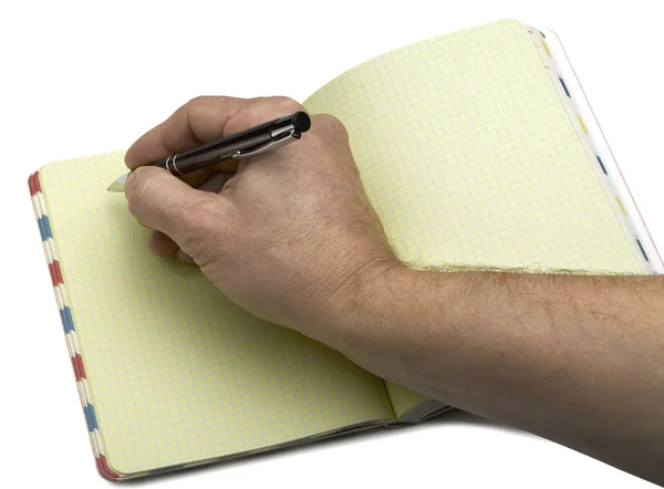Açık Not Defteri ile çapraz çizgili sayfalar ve tükenmez kalem — Stok fotoğraf