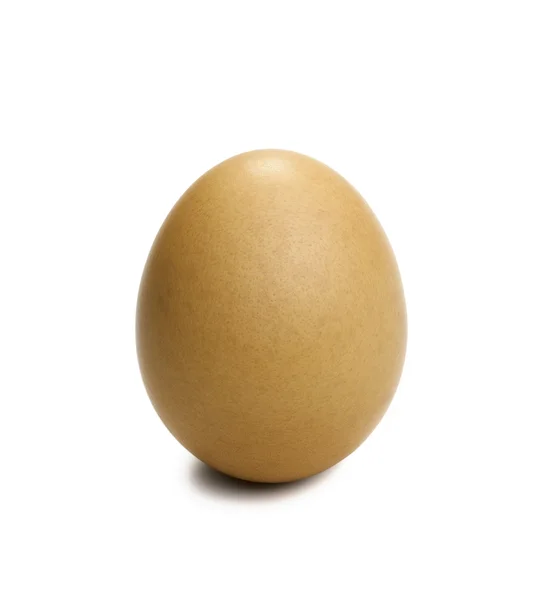 Gros plan sur un œuf sur fond blanc — Photo