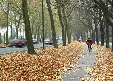 Brüksel'deki bisiklet yolu