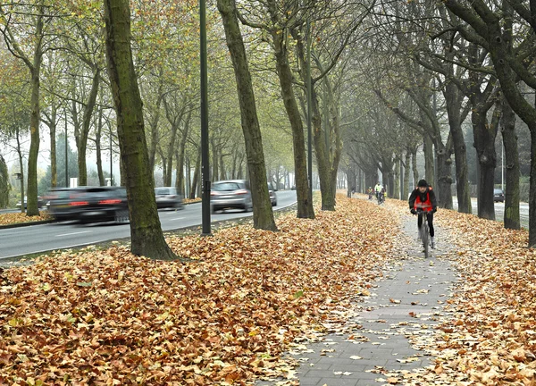 Caminho de bicicleta em Bruxelas — Fotografia de Stock
