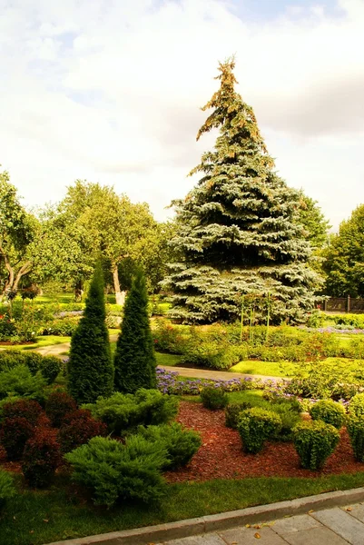 stock image Garden of the Moscow Kremlin