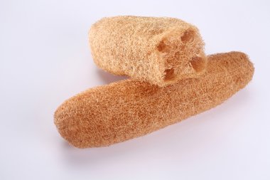 Loofah clipart