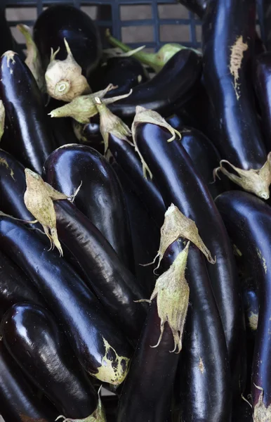 stock image Italy, Venice, italian eggplants for sale in a store