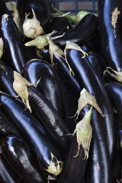 stock image Italy, Venice, italian eggplants for sale in a store