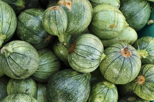 Malta Adası, kabaklar Satılık yerel bir pazarda