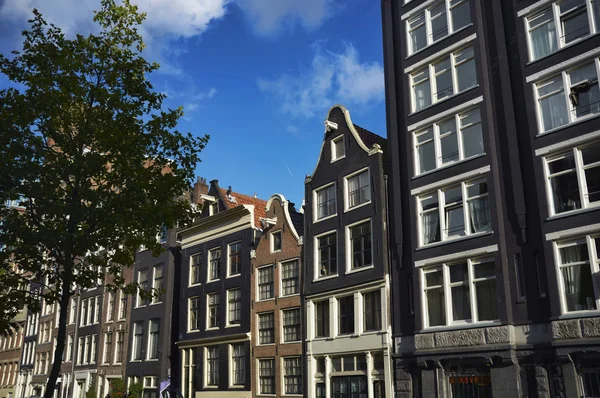 Голландия, Амстердам, старинные каменные здания — стоковое фото