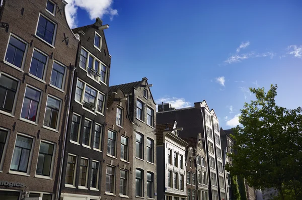 Hollandia, Amszterdam, régi privát kőházak — Stock Fotó
