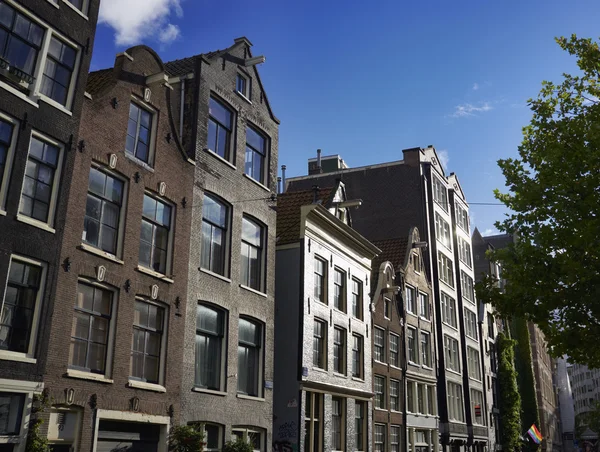 Hollandia, Amszterdam, régi privát kőházak — Stock Fotó