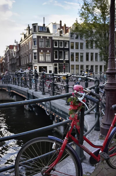 Holandia, amsterdam, rowery zaparkowane przez most — Zdjęcie stockowe