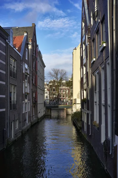 हॉलैंड, एम्स्टर्डम, कई नहरों में से एक का दृश्य — स्टॉक फ़ोटो, इमेज