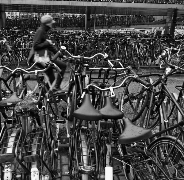 オランダ、アムステルダム、自転車駐車場、中央駅近く — ストック写真