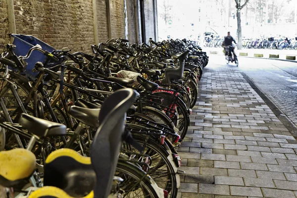 Holandsko, amsterdam, jízdní kolo zaparkované v tunelu — Stock fotografie