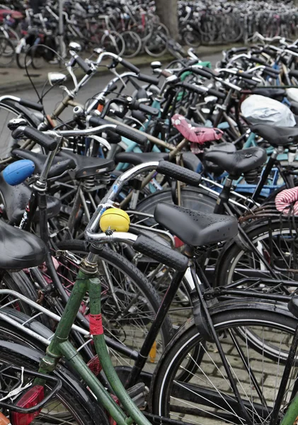Olanda, Amsterdam, parcare biciclete — Fotografie, imagine de stoc