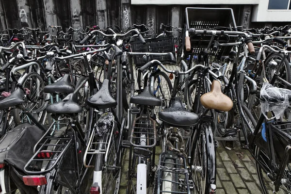 Holland, amsterdam, fietsen parkeren — Stockfoto