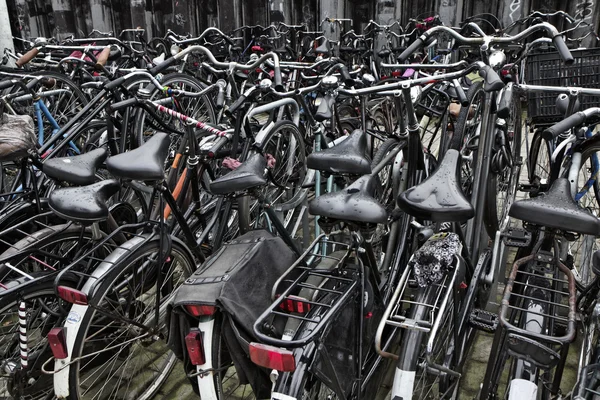 Ολλανδία, Άμστερνταμ, ποδήλατα, πάρκινγκ — Φωτογραφία Αρχείου