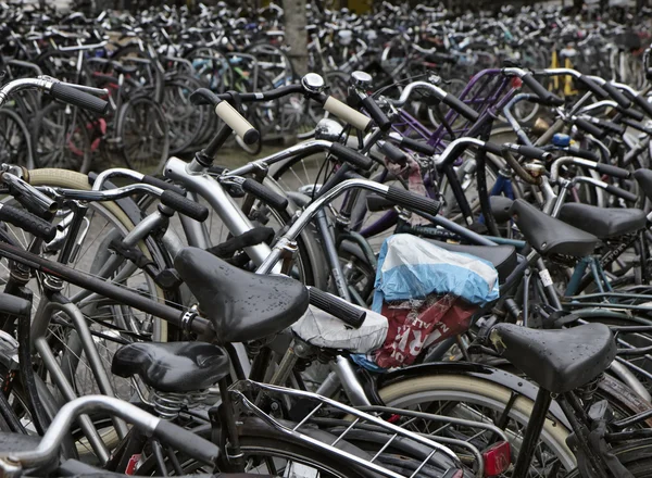 Holland, Amsterdam, bicycles parking — Stock Photo, Image