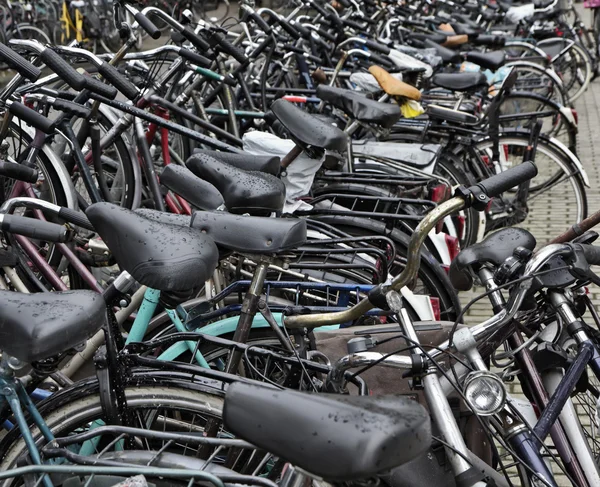 荷兰，阿姆斯特丹，自行车停车 — 图库照片