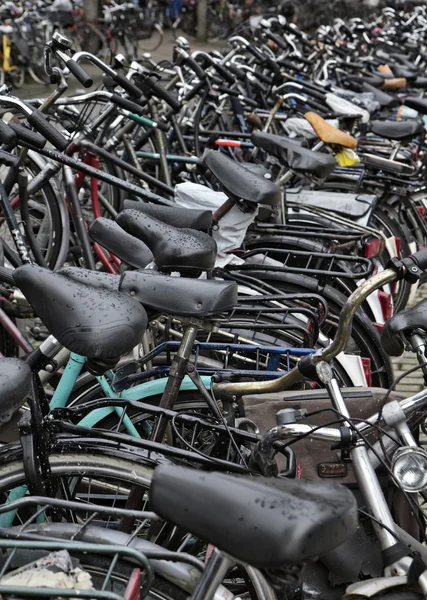 荷兰，阿姆斯特丹，自行车停车 — 图库照片