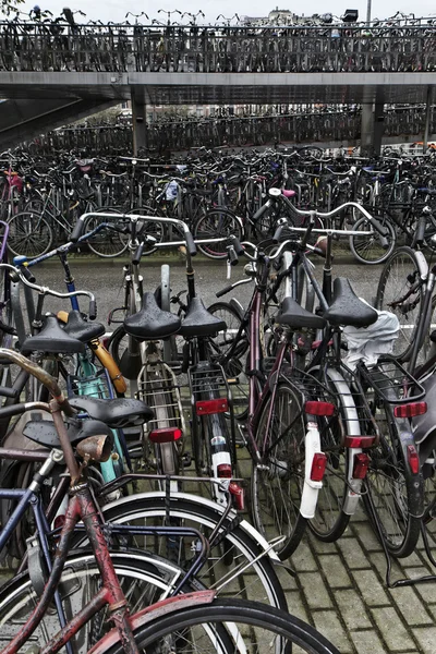 Holland, amsterdam, cyklar parkering — Stockfoto