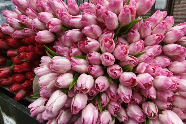 Голландия, деревня Волендам (Амстердам), поддельные тюльпаны — стоковое фото