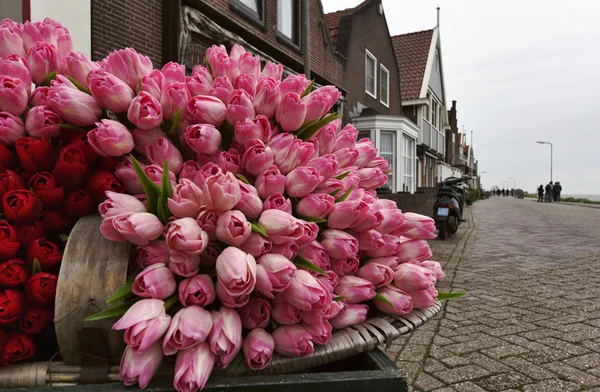 Holanda, Volendam village (Amsterdam), tulipanes falsos — Foto de Stock