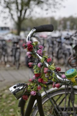 Holland, volendam (amsterdam), Otopark bisikletler