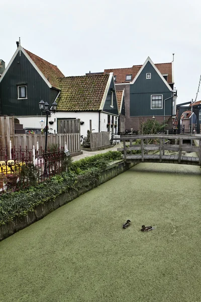 Holland, volendam (amsterdam), typisch Nederlandse stenen huizen — Stockfoto