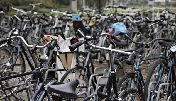 Holland, volendam (amsterdam), Otopark bisikletler — Stok fotoğraf