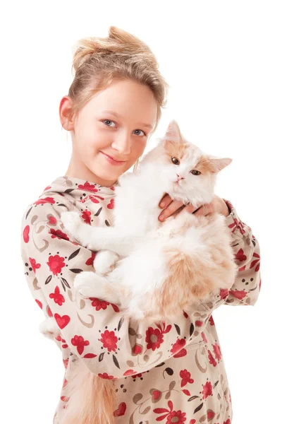 stock image Little girl with a kitten.