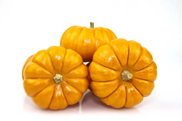 Calabazas anaranjadas — Foto de Stock