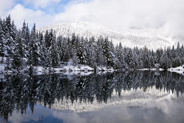 stock image Winter reflection