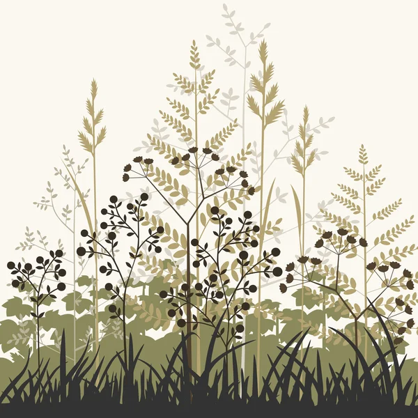 Planten en grassen achtergrond — Stockvector