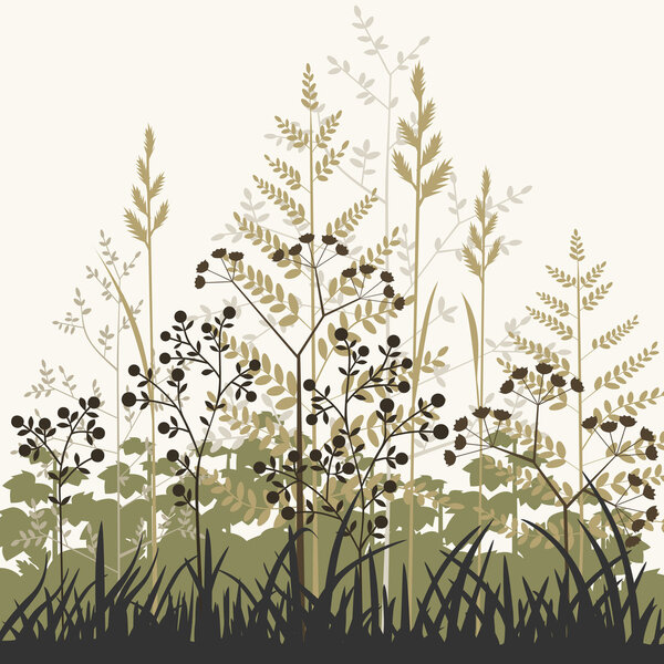 Plants and grasses background