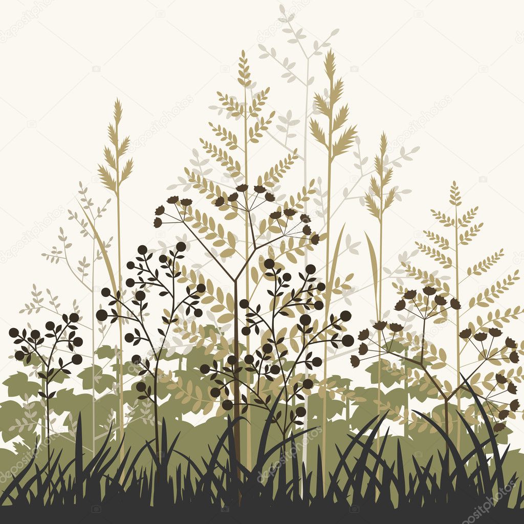 Plants and grasses background