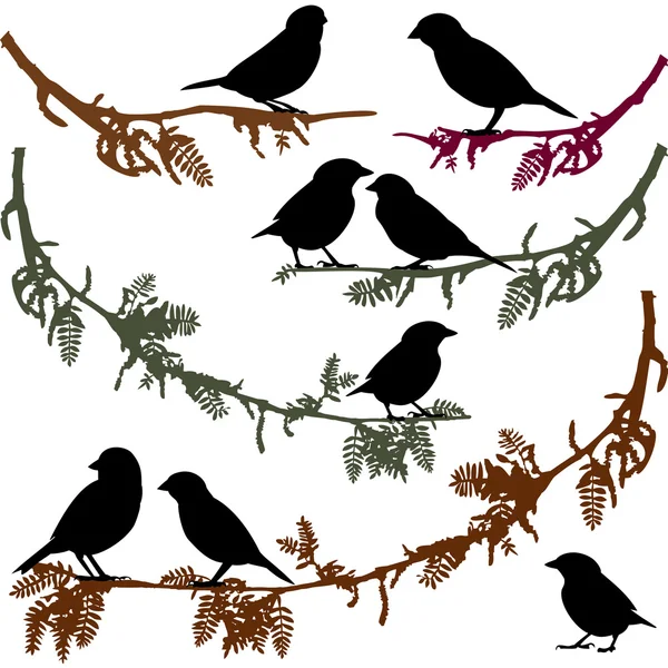Птицы на векторной иллюстрации ветвей деревьев — стоковый вектор